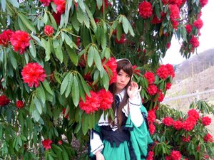 Rating: Safe Score: 0 Tags: 1girl brown_hair camellia dress flower long_hair plant red_flower red_rose rose solo suiseiseki tulip User: admin
