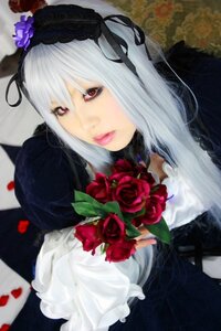 Rating: Safe Score: 0 Tags: 1girl blurry bouquet depth_of_field dress flower gothic_lolita hairband lips lolita_fashion long_hair photo red_eyes red_flower red_rose rose solo suigintou white_hair User: admin