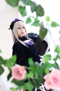 Rating: Safe Score: 0 Tags: 1girl 3d black_dress blurry blurry_background blurry_foreground depth_of_field dress flower hairband lips long_hair long_sleeves looking_at_viewer motion_blur photo purple_flower solo suigintou User: admin