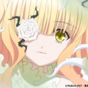 Rating: Safe Score: 0 Tags: 1girl bangs blonde_hair blurry closed_mouth depth_of_field flower image kirakishou long_hair looking_at_viewer rose solo white_flower white_rose yellow_eyes User: admin