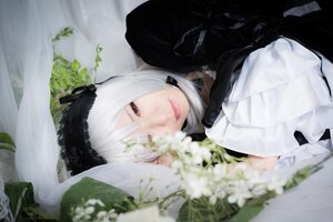 Rating: Safe Score: 0 Tags: 1girl blurry blurry_foreground depth_of_field flower lace leaf lips looking_at_viewer lying photo solo suigintou white_hair User: admin