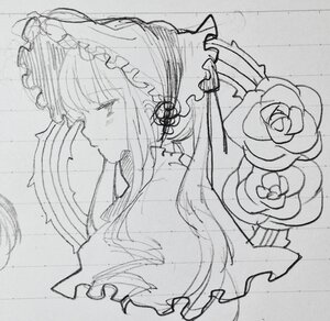 Rating: Safe Score: 0 Tags: 1girl closed_eyes dress flower greyscale image long_hair monochrome photo profile rose shinku sketch smile solo traditional_media upper_body User: admin