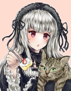 Rating: Safe Score: 0 Tags: 1girl animal blush cake dress food frills gothic_lolita hairband holding image lolita_fashion lolita_hairband long_hair open_mouth ribbon silver_hair solo suigintou User: admin