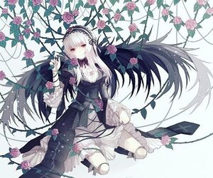 Rating: Safe Score: 0 Tags: 1girl breasts cleavage dress flower gothic_lolita hairband image lolita_fashion long_hair pink_eyes pink_flower pink_rose plant purple_flower purple_rose red_eyes red_flower red_rose rose silver_hair solo suigintou thorns vines wings User: admin