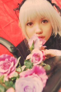 Rating: Safe Score: 0 Tags: 1girl bangs blurry blurry_foreground depth_of_field flower hairband holding lips lolita_hairband long_hair looking_at_viewer photo pink_flower pink_rose red_eyes rose solo suigintou User: admin