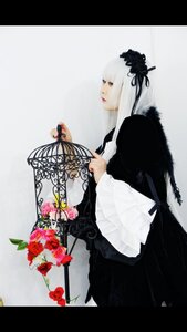 Rating: Safe Score: 0 Tags: 1girl bangs black_dress cage dress flower gothic_lolita letterboxed lolita_fashion long_hair long_sleeves profile red_flower rose simple_background solo suigintou white_hair User: admin