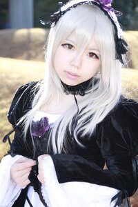 Rating: Safe Score: 0 Tags: 1girl black_dress blurry blurry_background closed_mouth depth_of_field dress flower frills gothic_lolita hairband holding lips lolita_fashion lolita_hairband long_hair long_sleeves looking_at_viewer photo red_eyes rose solo suigintou User: admin