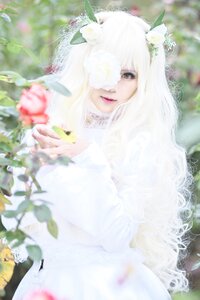 Rating: Safe Score: 0 Tags: 1girl bangs blurry blurry_background blurry_foreground depth_of_field flower hair_ornament kirakishou leaf lips long_hair looking_at_viewer one_eye_covered photo red_lips sitting solo white_dress white_flower white_hair User: admin