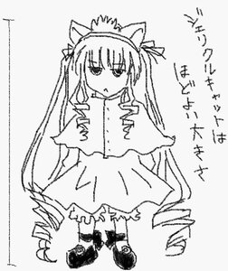 Rating: Safe Score: 0 Tags: 1girl animal_ears blush cat_ears dress drill_hair full_body greyscale image long_hair monochrome shinku simple_background solo twin_drills twintails very_long_hair User: admin