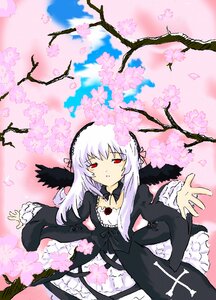 Rating: Safe Score: 0 Tags: 1girl black_dress black_ribbon black_wings cherry_blossoms detached_collar dress flower frills from_above hairband image long_hair long_sleeves looking_at_viewer outdoors parted_lips petals red_eyes ribbon silver_hair sky solo suigintou tree very_long_hair wings User: admin