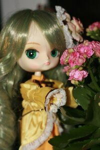 Rating: Safe Score: 0 Tags: 1girl auto_tagged blurry blurry_foreground depth_of_field doll flower green_eyes green_hair kanaria long_hair long_sleeves looking_at_viewer solo User: admin