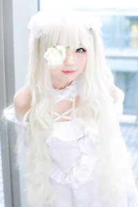 Rating: Safe Score: 0 Tags: 1girl animal_ears bangs blurry depth_of_field flower kirakishou lips long_hair looking_at_viewer red_lips solo upper_body white_flower white_hair yellow_eyes User: admin