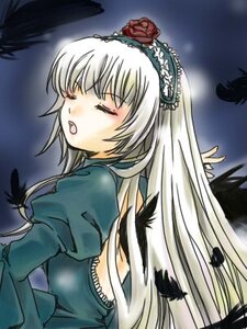 Rating: Safe Score: 0 Tags: 1girl black_wings blush closed_eyes dress feathers flower frills hairband image juliet_sleeves long_hair long_sleeves open_mouth puffy_sleeves rose silver_hair solo suigintou upper_body wings User: admin