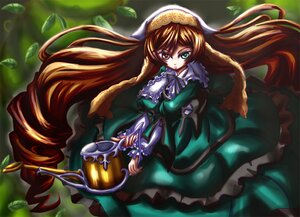 Rating: Safe Score: 0 Tags: 1girl brown_hair dress drill_hair frills green_dress green_eyes heterochromia image long_hair long_sleeves looking_at_viewer red_eyes solo suiseiseki very_long_hair watering_can User: admin