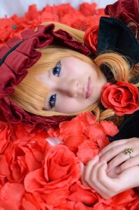 Rating: Safe Score: 0 Tags: 1girl blonde_hair blue_eyes blurry depth_of_field flower hat lips long_hair looking_at_viewer portrait red_flower red_rose rose shinku solo User: admin