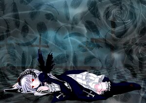 Rating: Safe Score: 0 Tags: 1girl black_wings dress feathers flower frills hairband image long_hair long_sleeves looking_at_viewer lying red_eyes ribbon rose silver_hair solo suigintou wings User: admin