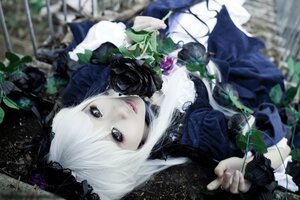 Rating: Safe Score: 0 Tags: 1girl blurry blurry_foreground depth_of_field dress flower frills lips looking_at_viewer plant solo suigintou white_hair User: admin