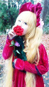 Rating: Safe Score: 0 Tags: 1girl blonde_hair blue_eyes bow flower long_hair red_flower red_rose rose shinku solo User: admin