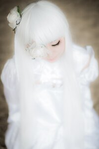 Rating: Safe Score: 0 Tags: 1girl bangs blurry blurry_background blurry_foreground closed_eyes closed_mouth depth_of_field eyelashes flower hair_flower hair_ornament kirakishou photo solo white_flower white_hair white_rose User: admin