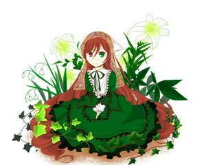 Rating: Safe Score: 0 Tags: 1girl brown_hair dress flower frills full_body green_dress green_eyes heterochromia image long_hair long_sleeves looking_at_viewer red_eyes solo suiseiseki very_long_hair watering_can white_background User: admin