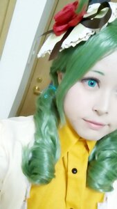 Rating: Safe Score: 0 Tags: 1girl flower green_hair hat kanaria lips rose solo User: admin