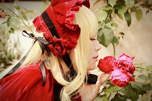 Rating: Safe Score: 0 Tags: 1girl bangs blonde_hair closed_eyes eyelashes flower hat lips long_hair plant portrait profile red_flower red_rose rose solo User: admin