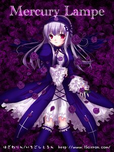 Rating: Safe Score: 0 Tags: 1girl dress flower frills hairband image long_hair purple_flower purple_rose rose solo suigintou thighhighs User: admin