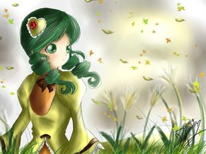 Rating: Safe Score: 0 Tags: 1girl autumn_leaves drill_hair falling_leaves grass green_eyes green_hair image kanaria leaf long_sleeves maple_leaf smile solo twin_drills wind User: admin