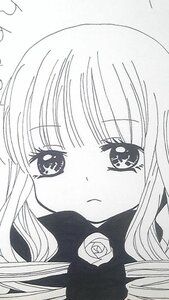 Rating: Safe Score: 0 Tags: 1girl bangs blush closed_mouth eyebrows_visible_through_hair flower image long_hair looking_at_viewer monochrome rose shinku solo traditional_media User: admin