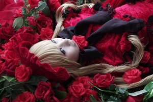 Rating: Safe Score: 0 Tags: 1girl blonde_hair blue_eyes flower hat lips long_hair pink_rose red_flower red_rose red_theme rose rose_petals shinku solo thorns User: admin