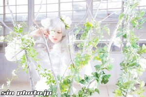 Rating: Safe Score: 0 Tags: 1girl auto_tagged flower kirakishou long_hair looking_at_viewer one_eye_closed solo white_flower white_hair white_theme window User: admin