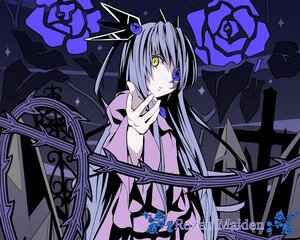 Rating: Safe Score: 0 Tags: 1girl barasuishou blue_flower blue_rose copyright_name cross eyepatch flower hair_ornament image kabocha_(monkey4) long_hair looking_at_viewer outstretched_hand purple_flower purple_hair purple_rose rose rozen_maiden solo sparkle thorns yellow_eyes User: admin
