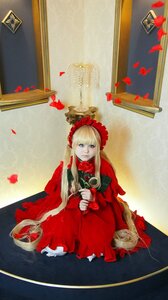 Rating: Safe Score: 0 Tags: 1girl blonde_hair blue_eyes bonnet bow dress flower long_hair long_sleeves petals red_dress rose rose_petals shinku sitting solo twintails User: admin