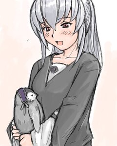 Rating: Safe Score: 0 Tags: 1girl bird blush flying_sweatdrops image long_hair long_sleeves open_mouth red_eyes solo suigintou User: admin