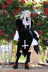 Rating: Safe Score: 0 Tags: 1girl black_dress closed_eyes dress flower long_hair plant red_flower red_rose rose solo standing suigintou white_hair User: admin