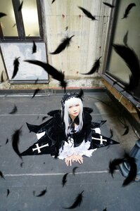 Rating: Safe Score: 0 Tags: 1girl bat bird black_feathers black_wings cage crow dove dress feathers flock flying frills gothic_lolita lolita_fashion long_hair long_sleeves looking_at_viewer owl red_eyes seagull silver_hair solo suigintou white_feathers wings User: admin