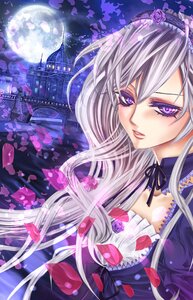 Rating: Safe Score: 0 Tags: 1girl choker flower full_moon image long_hair moon night petals purple_eyes ribbon rose silver_hair solo suigintou User: admin