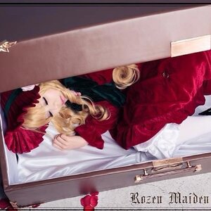 Rating: Safe Score: 0 Tags: 1girl bangs blonde_hair bonnet closed_eyes dress flower long_hair long_sleeves red_dress rose shinku sleeping solo User: admin