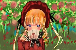 Rating: Safe Score: 0 Tags: 1girl bangs blonde_hair blue_eyes blush bonnet cup dress drill_hair flower holding holding_cup image long_hair long_sleeves looking_at_viewer outdoors petals red_capelet red_flower red_rose rose rose_petals shinku solo teacup twin_drills twintails upper_body User: admin
