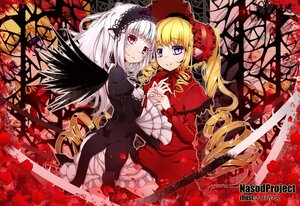 Rating: Safe Score: 0 Tags: 2girls black_wings blonde_hair bonnet cross dress drill_hair flower frills hairband heterochromia holding_hands image juliet_sleeves lolita_fashion lolita_hairband long_hair long_sleeves looking_at_viewer multiple_girls pair petals puffy_sleeves purple_eyes red_dress red_eyes red_flower red_rose rose rose_petals shinku smile suigintou thorns twintails white_hair wings User: admin