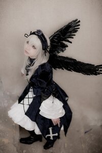 Rating: Safe Score: 0 Tags: 1girl black_ribbon black_wings boots closed_mouth dress feathered_wings feathers frills full_body hairband lips long_hair long_sleeves ribbon rose solo standing suigintou wings User: admin