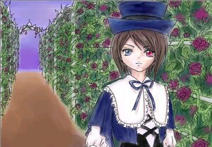 Rating: Safe Score: 0 Tags: 1girl blue_eyes brown_hair capelet expressionless flower hat heterochromia image plant purple_rose red_eyes red_flower red_rose rose short_hair solo souseiseki thorns vines User: admin