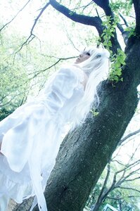 Rating: Safe Score: 0 Tags: 1girl bare_tree dress kirakishou long_hair outdoors solo tree white_dress white_hair white_theme User: admin
