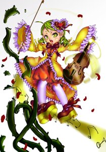 Rating: Safe Score: 0 Tags: 1girl bloomers dress drill_hair flower frills green_eyes green_hair guitar image instrument kanaria leaf musical_note pantyhose petals plant rose solo twin_drills underwear vines violin white_legwear User: admin