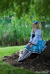 Rating: Safe Score: 0 Tags: 1girl blonde_hair dress grass hat long_hair long_sleeves outdoors pantyhose shinku sitting solo striped striped_legwear tree User: admin