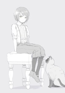 Rating: Safe Score: 0 Tags: 1girl animal cat image looking_at_viewer monochrome shirt short_hair short_sleeves shorts sitting socks solo souseiseki striped suspenders vertical_stripes User: admin
