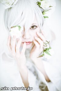 Rating: Safe Score: 0 Tags: 1girl blurry blurry_foreground depth_of_field kirakishou leaf looking_at_viewer solo white_flower white_hair User: admin