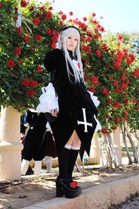 Rating: Safe Score: 0 Tags: 1girl black_dress dress flower hairband long_hair plant red_flower red_rose rose shoes solo suigintou white_hair User: admin