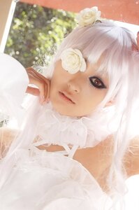 Rating: Safe Score: 0 Tags: 1girl animal_ears bangs close-up closed_mouth flower hair_flower hair_ornament kirakishou lace lips long_hair rose solo white_flower white_hair white_rose User: admin