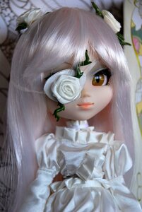 Rating: Safe Score: 0 Tags: 1girl bangs blurry brown_eyes closed_mouth depth_of_field doll dress flower frills kirakishou lips long_hair looking_at_viewer photo rose smile solo upper_body white_flower white_hair white_rose User: admin